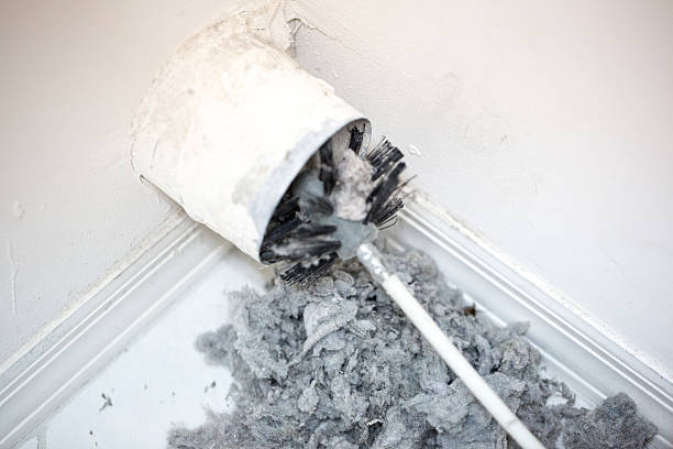 Best HVAC Maintenance and Cleaning  in Roosevelt Gardens, FL